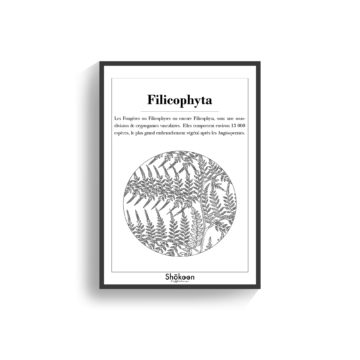 illustration-affiche-poster-deco-herboriste-definition-fougere-noir-blanc-www-shokoon-lafficheuse-com