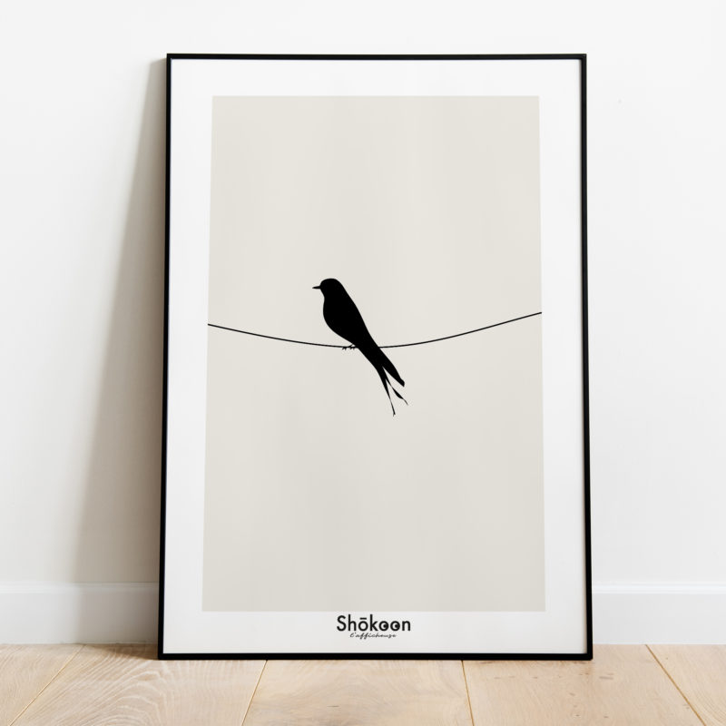 affiche-illustration-oiseau-fil-black-birdy-shokoonlafficheuse